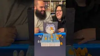 Chess With Cats? One Of The Best Two Player Games For Couples! 