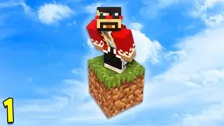 Minecraft But There's Only One Block (#1)
