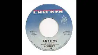 Anytime  -  The Ocapello's