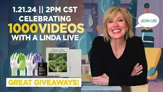 Linda LIVE! || 1.21.24 2PM