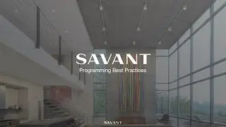 Savant Programming Best Practices