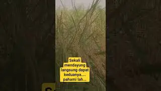 Jangan lupa bersyukur...