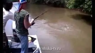 "Панцирная щука". Коста Рика "Fishing an armour pike in Costa Rica"