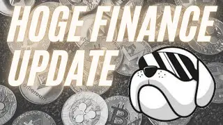 HOGE FINANCE UPDATE