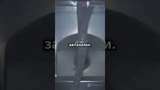 Почему вода застаивается в посудомоечной машине?