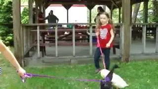 Children"s Agricultural Fair NH