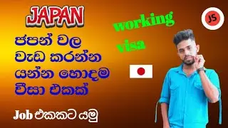 ජපන් වලට යන්න හොදම working visa එක ගැන 👈🇯🇵 #japan #visa #information @JSNihongono