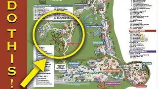 How to have the BEST DAY EVER at Dollywood!