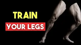 5 Reasons Why Training Your Legs Will Change Your Life Forever
