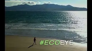 The Living Beach (Coastal Squeeze, Superbugs and Blue Health)  EE17 EP6