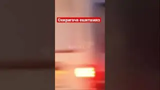 Сиз нима килардиз