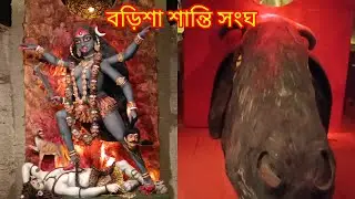 Barisha Santi Sangha Kali Puja Pandal, বড়িশা শান্তি সংঘ, Barisha Santi Sangha, Kali Puja Pandal
