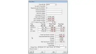 California - Creating the State Quarterly Returns E-File in AMS Payroll - DE-9 and DE-9C