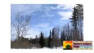 Алтай зимой  Что смотреть на алтае зимой