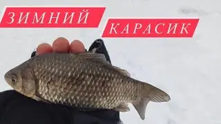 Ловля карася зимой.Рыбалка в Запорожье 2022.Зимняя рыбалка.