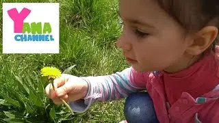 VLOG: Едем за город на природу (Армения) / We go the nature (Armenia)