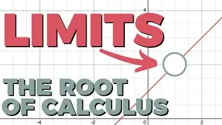 Calculus Starts With Limits! What Are They?