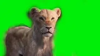 Король лев 2019 Нала Маска