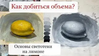 Как добиться объема? Гризайль маслом - пишем черно белый лимон, разбираемся с тоном и светотенью.