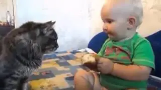 Kediye yemek yediren bebek