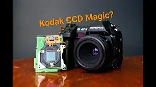 The Olympus E-1, Is There some Kodak CCD Magic in this Four Thirds DSLR?