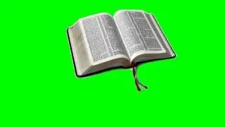 animated green screen book or bible