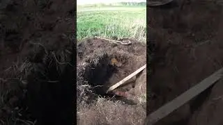 НЕБОЛЬШАЯ ЯМКА ПОЛУЧИЛАСЬ #копметалла #коп #металлокоп2024