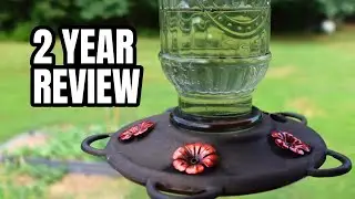 The BEST Hummingbird Feeder (Hummingbirds love this thing)