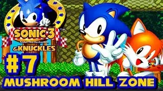 Sonic 3 and Knuckles - (1080p) Part 7 - Mushroom Hill Zone