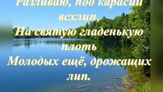 Шепчутся осока и ковыль