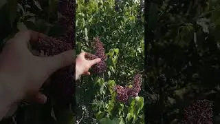 ГАЙД ОТ ВЛАДА ГАНТЕЛИ КАК УДИВИТЬ ДЕВУШКУ 