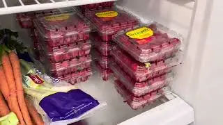 So many donated raspberries today!