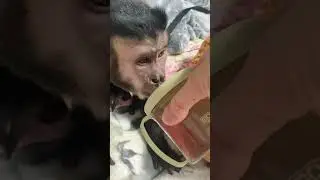Веревки из матери вьет