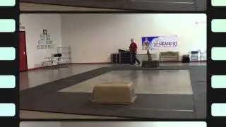 14 Week old puppy learning the place command