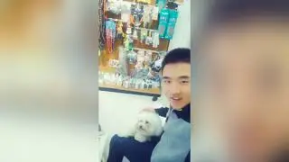 Asian Chinese Cute Bear Boy