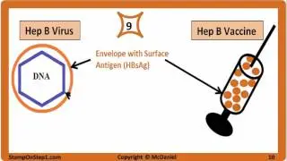 Viral Hepatitis: Hepatitis A, Hepatitis B, Hepatitis C, HBsAg HBeAg Vaccine HCV HBV HBsAb