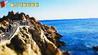 울산 대왕암 공원. 고딩의 추억 #대왕암공원