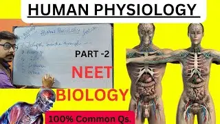 HUMAN PHYSIOLOGY I 20 QS I NEET BIOLOGY I 2024 I BIOLOGY 300+ @neetbiologyspecial #neet2024