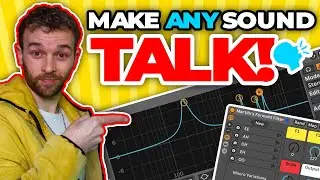Make Your Own Formant Filter!