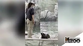 International Day of the Seal - Training With Ariel