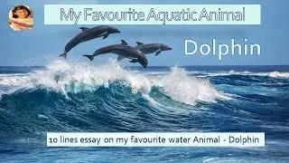 Dolphin/My Favorite Aquatic Animal/ 10 Line essay on Dolphin in English /Speech on water animal