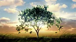 Video background Tree growing at sunrise Object in the middle  | pixabay&pixels | pixabay | pixels