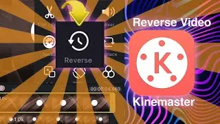 How to Reverse Video on Kinemaster (Kinemaster Reverse Video Effect)