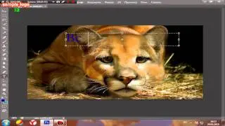 Как пользоваться фотошопом CS6