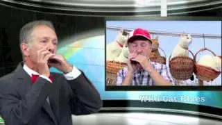 ‪What They've Done To My Song Ma    Harmonica by Harproli  ‬‬