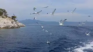 DİNLENDİRİCİ RAHATLATICI MUHTEŞEM MÜZİKLER