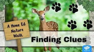 Finding Clues: A Home Ed Nature Walk