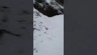 Dhanaulti snowfall