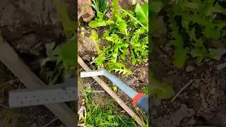 Минимум усилий