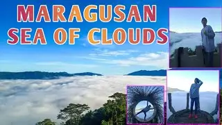 Maragusan Sea of Clouds